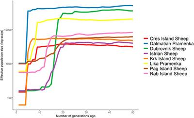 High-Density Genomic Characterization of Native Croatian Sheep Breeds